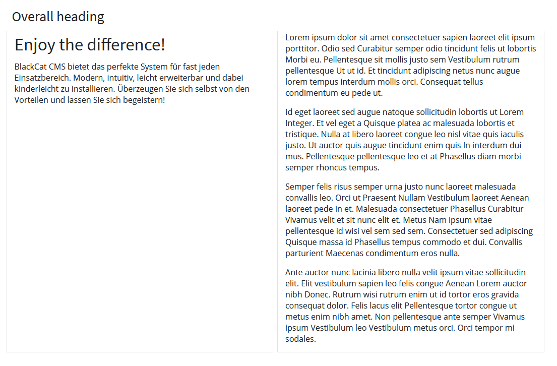 Darstellung im Frontend