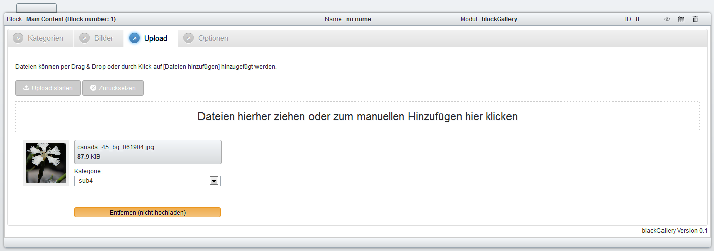 Upload im Backend (powered by Dropzone.js)