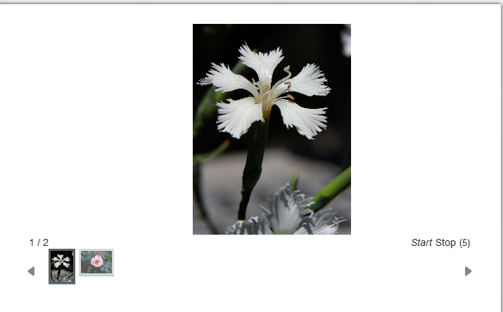 Slideshow im Frontend