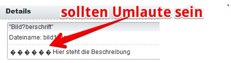 bild1.jpg