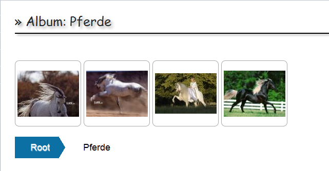 Frontend