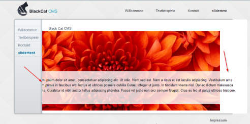 2013-09-24 14_31_45-BlackCat CMS - slidertest.png